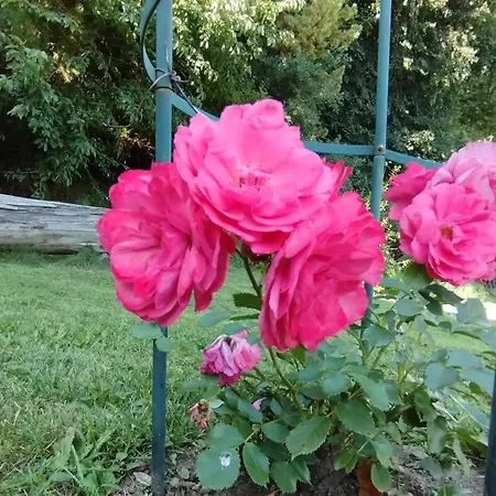 Romy Vakantiehuis Murau