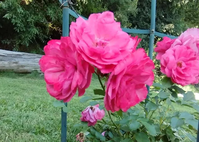 Romy Дом отдыха Мурау